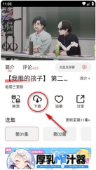 次元城动漫最新版