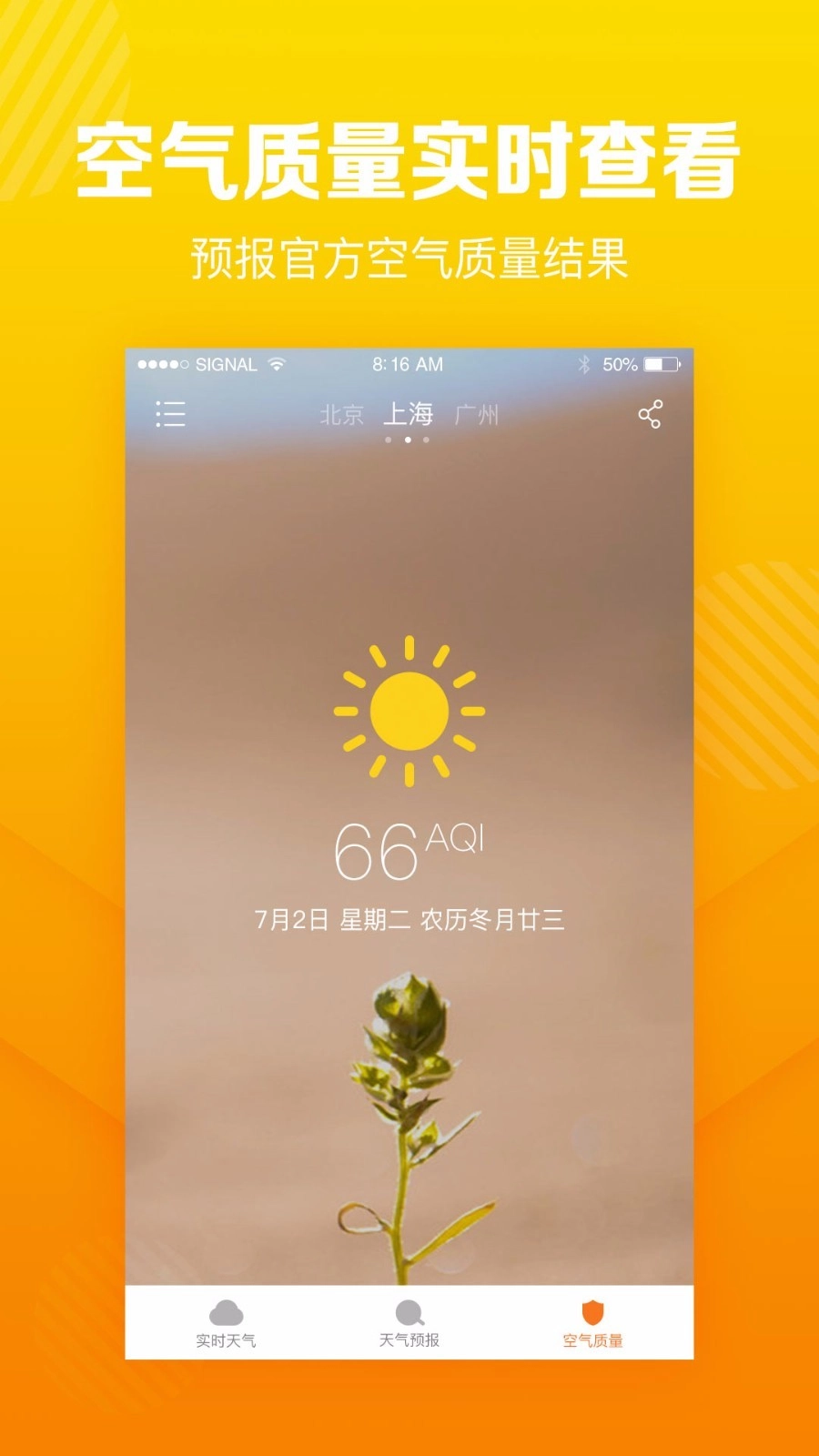 菠萝天气安卓版下载