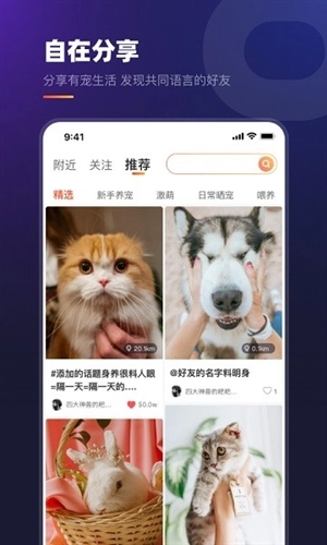 趣爪印官网版下载