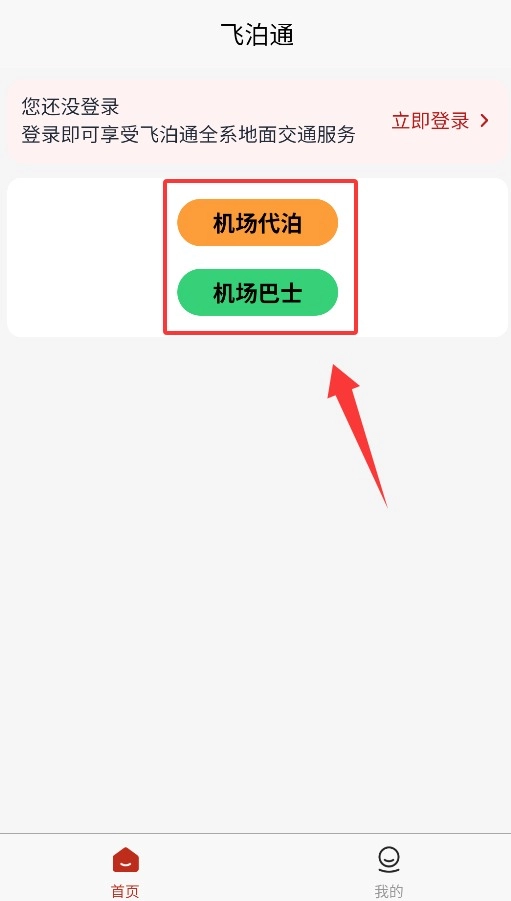 飞泊通中文版下载