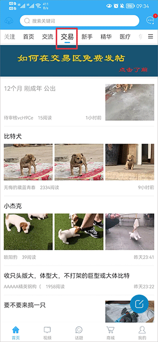 猛犬俱乐部中文版下载