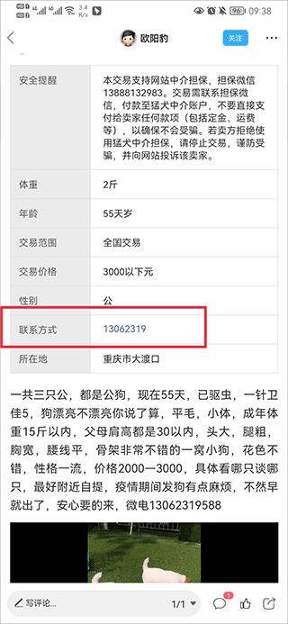 猛犬俱乐部中文版下载
