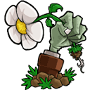 植物大战僵尸重植版