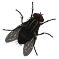 湖边之家恐怖任务