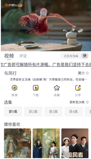 飞马影视纯净版
