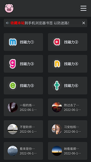 bt磁力猪免费版下载