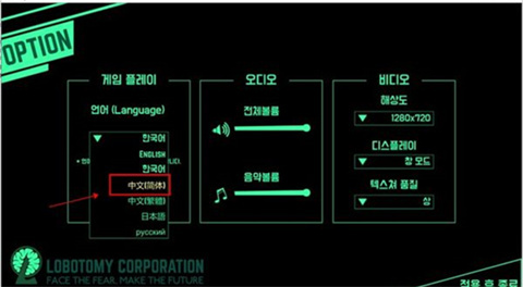 脑叶公司