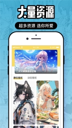 囧次元纯净版