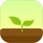 Forest专注森林最新  安卓版