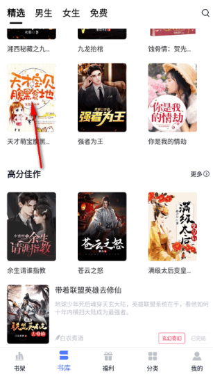 小说家免费版
