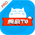 懒猫影仓电视版