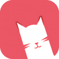 猫咪视频