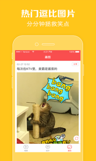 猫咪视频软件下载