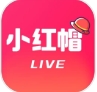 小红帽直播