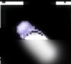 放课后的捉迷藏安卓版下载