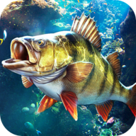 欢乐钓鱼大师免广告版