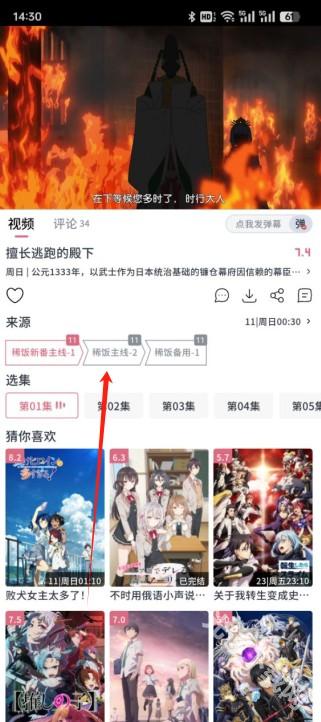 稀饭动漫纯净版