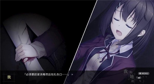 我和她的世界末日