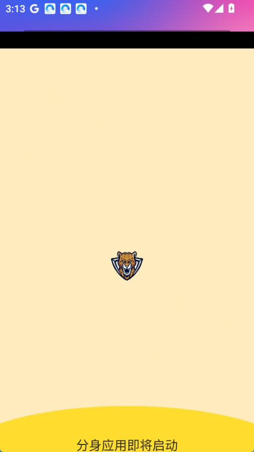 野豹启动器公益直装app官方正版下载-野豹直装卡密软件免费版手机下载v9999