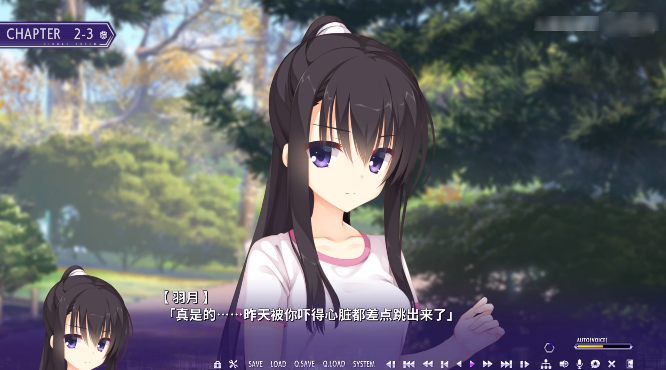 RiddleJoker汉化版下载 RiddleJoker汉化版下载