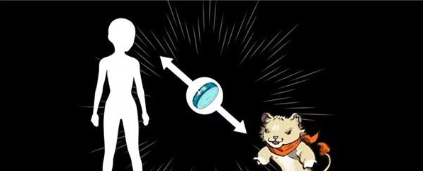 口袋妖怪迷之规则 口袋妖怪迷之规则