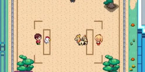 口袋妖怪迷之规则 口袋妖怪迷之规则