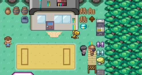 口袋妖怪迷之规则 口袋妖怪迷之规则