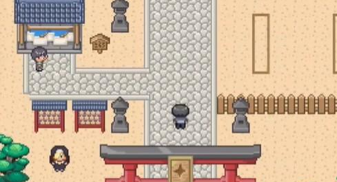 口袋妖怪迷之规则 口袋妖怪迷之规则