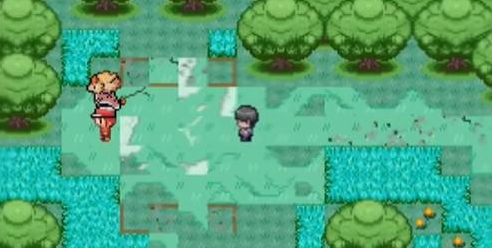 口袋妖怪迷之规则 口袋妖怪迷之规则