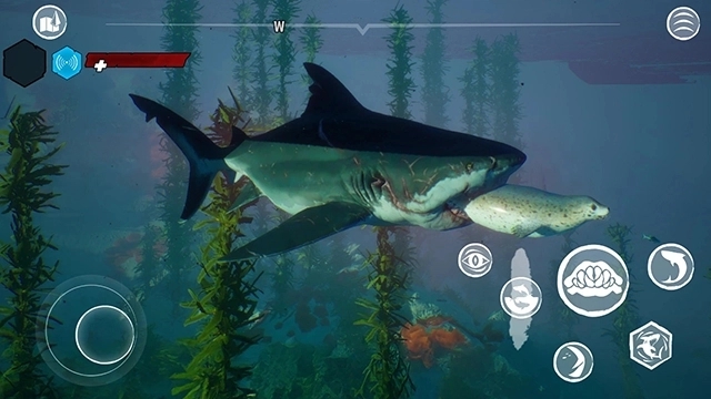 食人鲨(Maneater)手机版下载