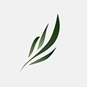 东南小说官方版