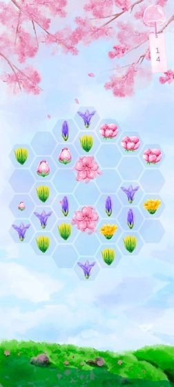 花开时节安卓下载