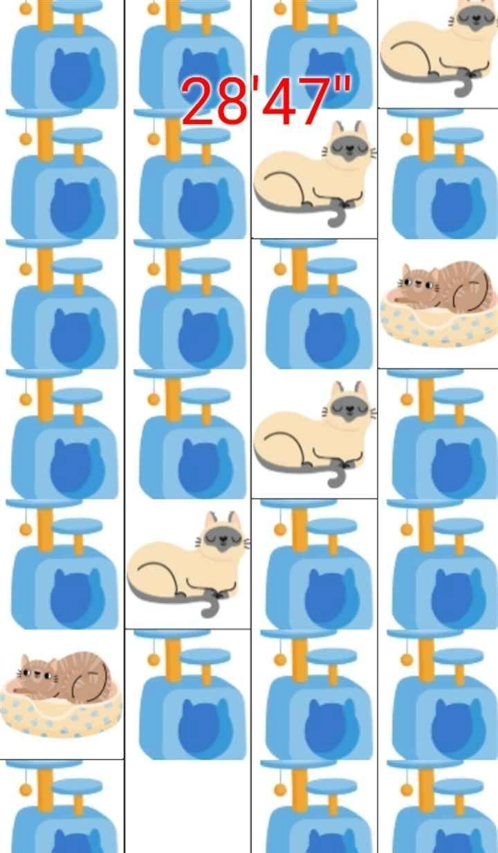 打猫猫免费版下载