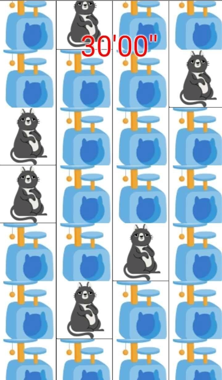 打猫猫免费版下载