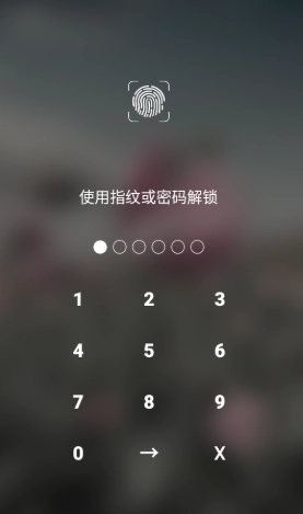 椰果便签安装包下载
