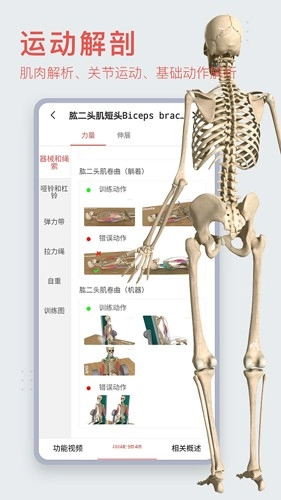 3Dbody艺用app下载