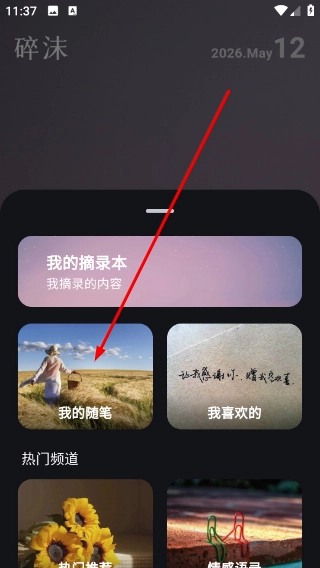 碎沫正式版下载