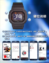 CASIOWATCHES最新版软件下载